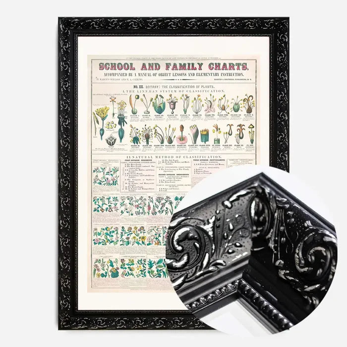 21x30cm | 8¼ x 11¾in / Black Ornate Frame