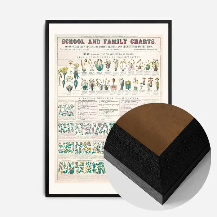 21x30cm | 8¼ x 11¾in / Black Wood Frame