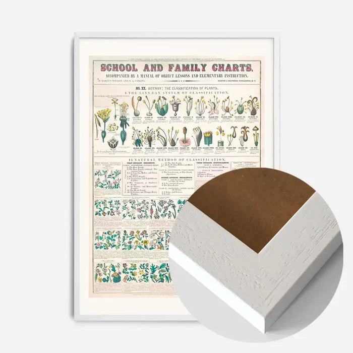21x30cm | 8¼ x 11¾in / White Wood Frame