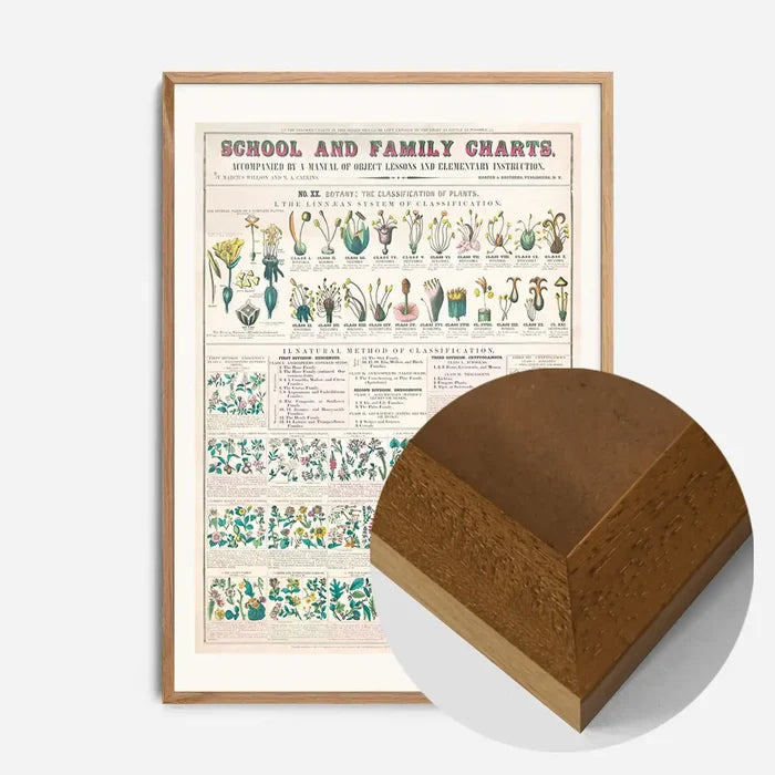 21x30cm | 8¼ x 11¾in / Oak Wood Frame