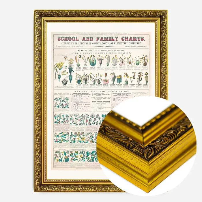 21x30cm | 8¼ x 11¾in / Gold Ornate Frame