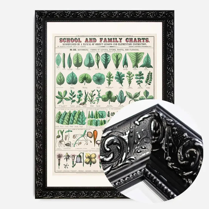 21x30cm | 8¼ x 11¾in / Black Ornate Frame