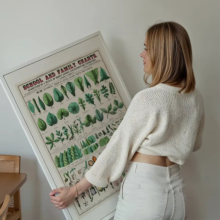 School and Family Charts - Leaves Stems Roots Flowers Diagram Print held up against a living room wall