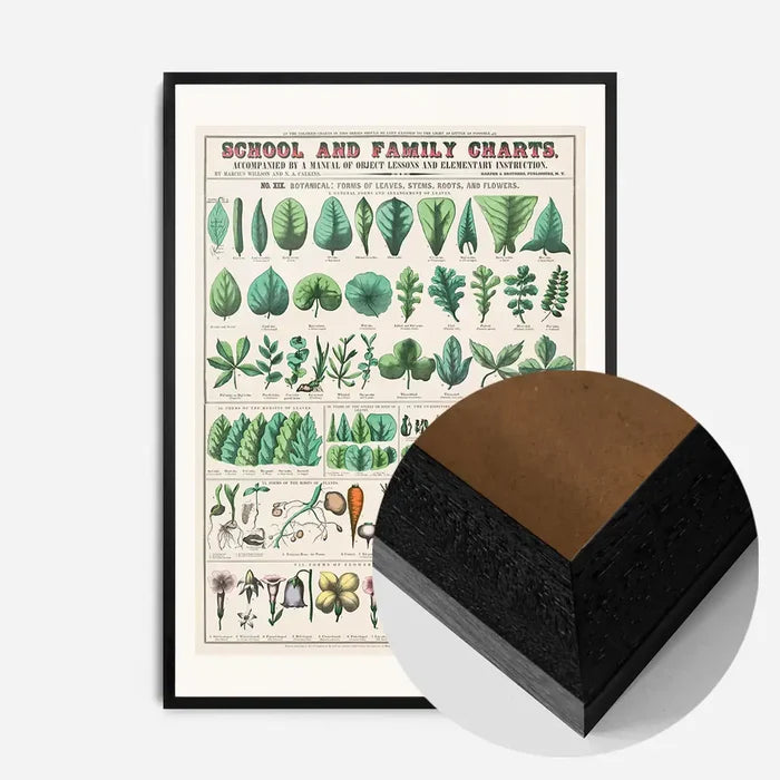 21x30cm | 8¼ x 11¾in / Black Wood Frame