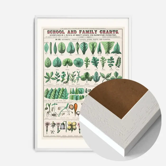 21x30cm | 8¼ x 11¾in / White Wood Frame