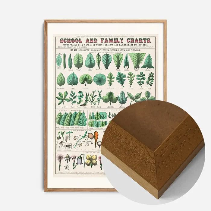 21x30cm | 8¼ x 11¾in / Oak Wood Frame
