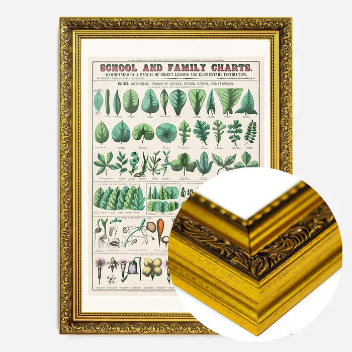 21x30cm | 8¼ x 11¾in / Gold Ornate Frame