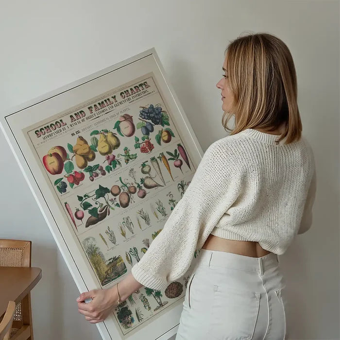 School and Family Charts - Uses of Plants 2 Botanical Print held up against a living room wall