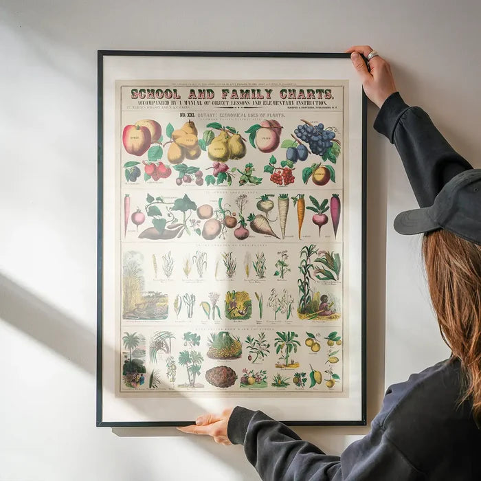 School and Family Charts - Uses of Plants 2 Botanical Print being hung on a wall in a black frame