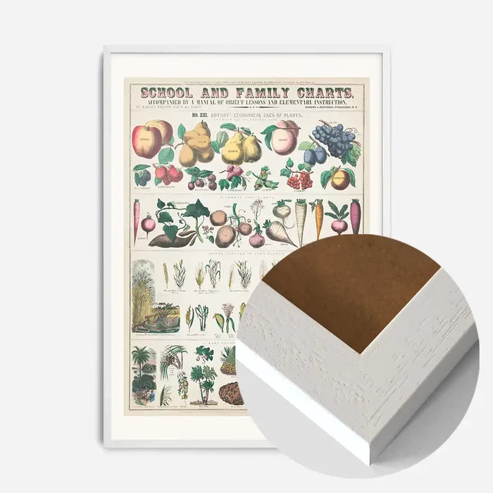 21x30cm | 8¼ x 11¾in / White Wood Frame