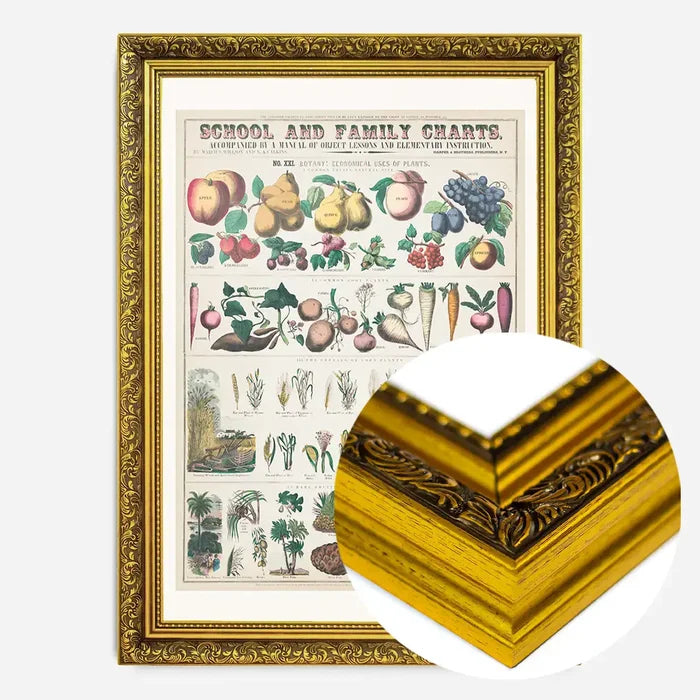21x30cm | 8¼ x 11¾in / Gold Ornate Frame