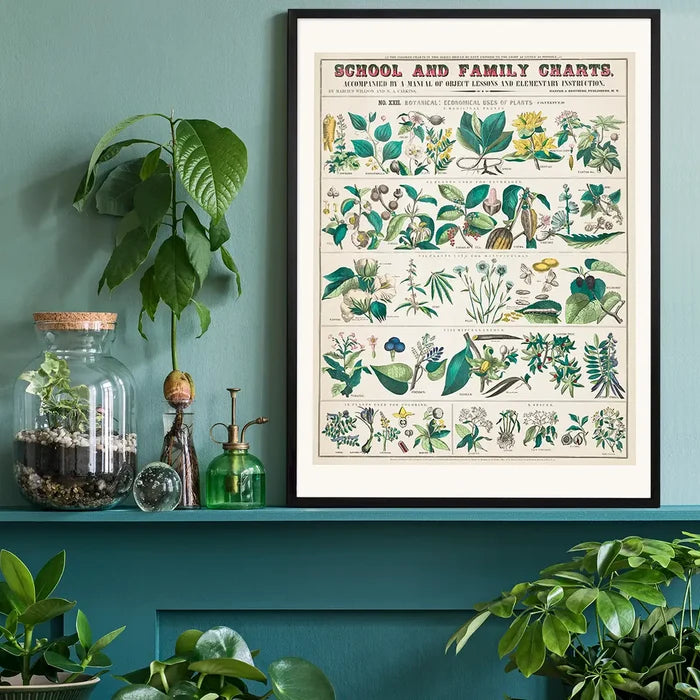 School and Family Charts - Uses of Plants Botanical Print black framed on a living room shelf