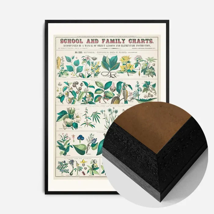 21x30cm | 8¼ x 11¾in / Black Wood Frame