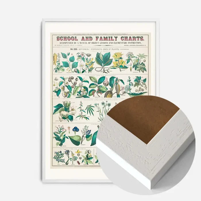 21x30cm | 8¼ x 11¾in / White Wood Frame