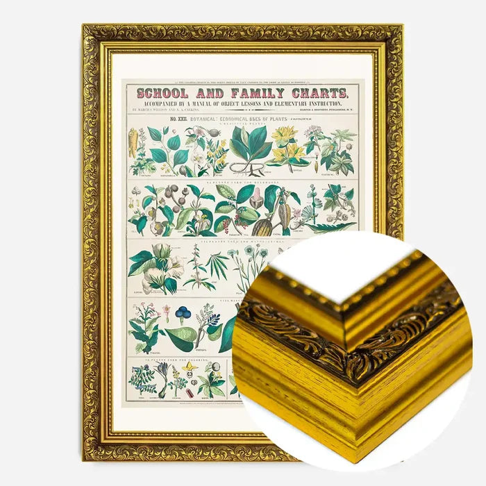 21x30cm | 8¼ x 11¾in / Gold Ornate Frame