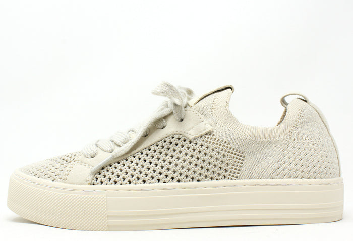 Shimmer Trainer