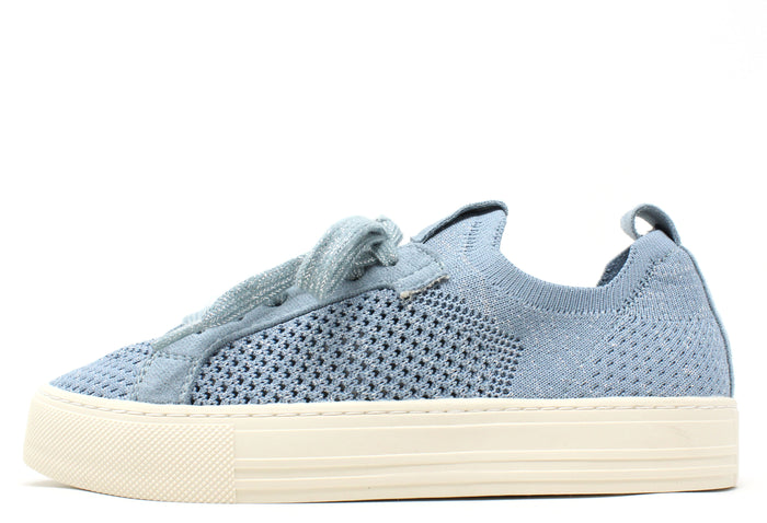 Shimmer Trainer