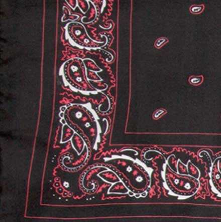 Silk Bandana Scarf 20"