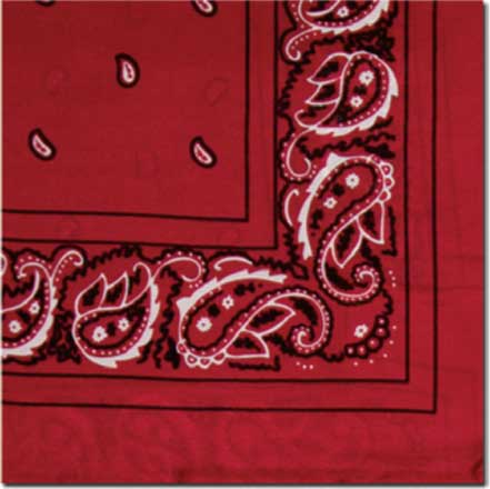 Silk Bandana Scarf 20"