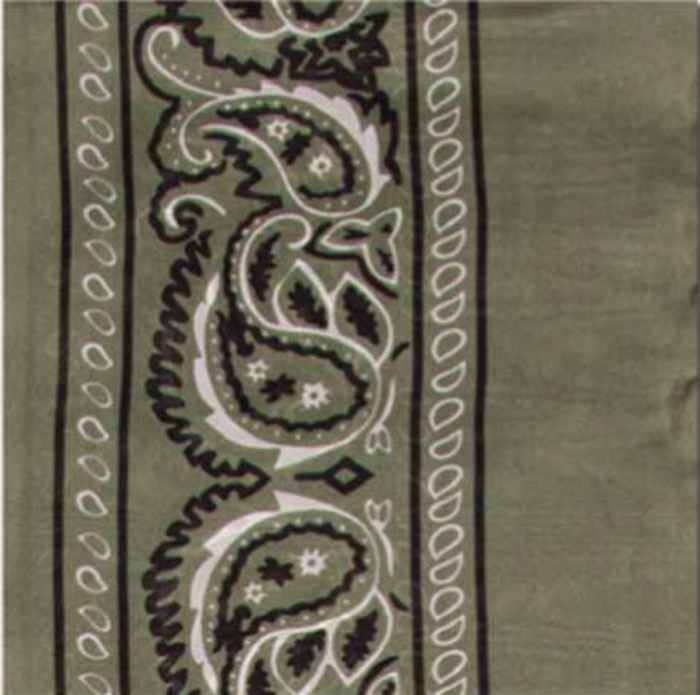 Silk Bandana Scarf 20"