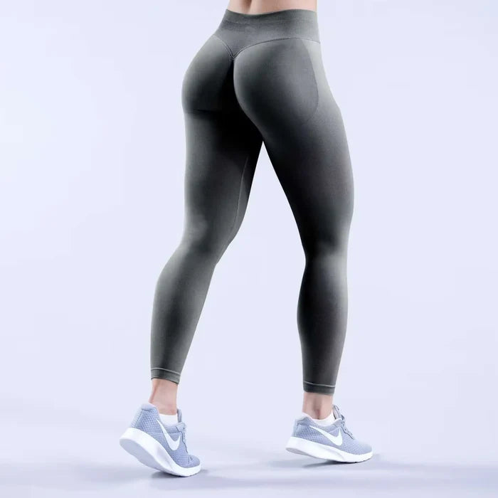 Shark Gray / XS
