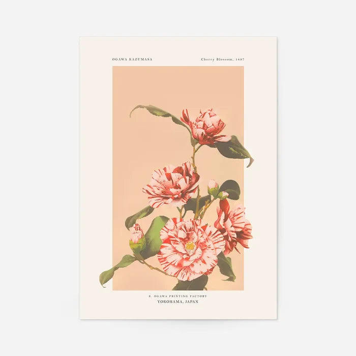 Striped Camellias Ogawa Kazumasa Flowers Print, Japanese woodblock print, unframed
