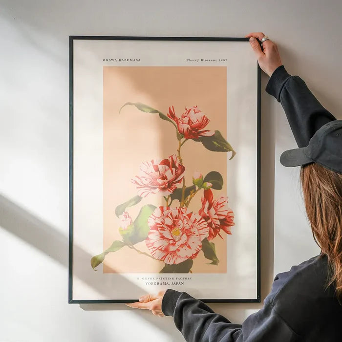 Striped Camellias Ogawa Kazumasa Flowers Print being hung on a wall in a black frame