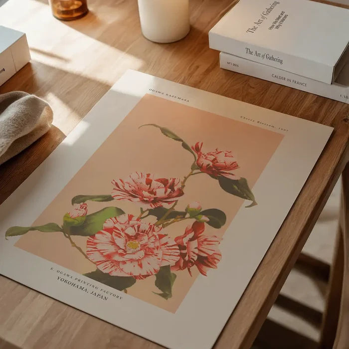Striped Camellias Ogawa Kazumasa Flowers Print, Japanese woodblock print unframed on a home office desk