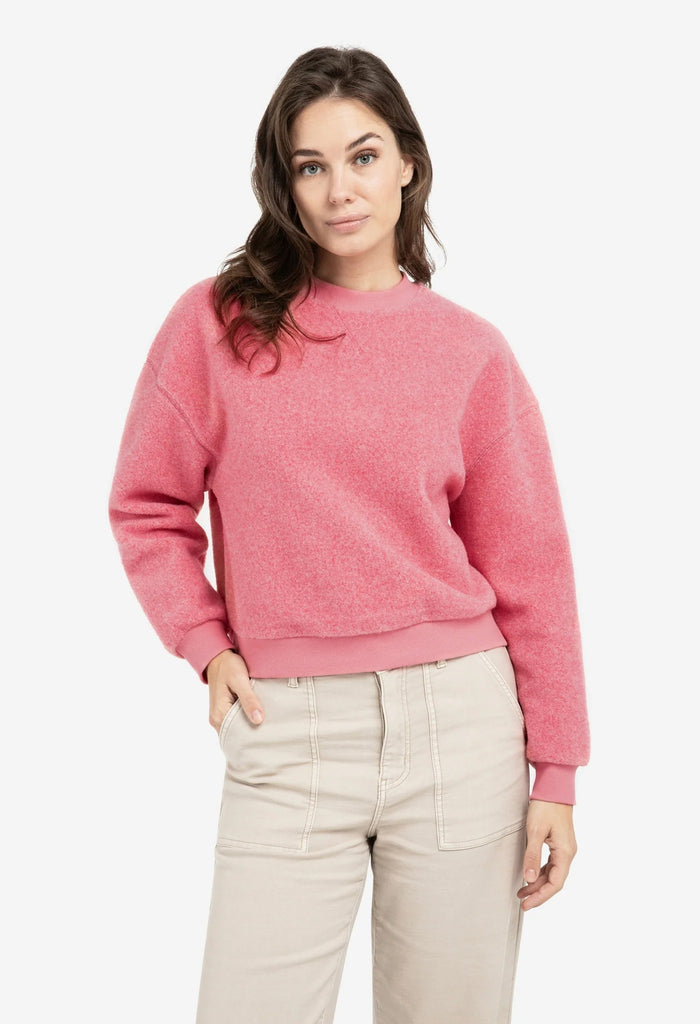 Teddy Jumper