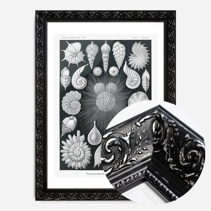 21x30cm | 8¼ x 11¾in / Black Ornate Frame