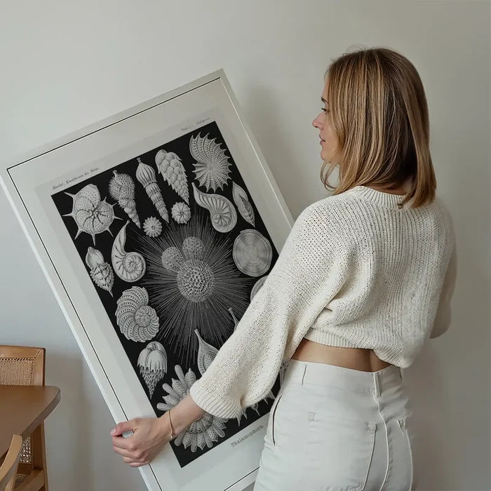 Thalamophora–Kammerlinge Microorganisms Illustration Print held up against a living room wall