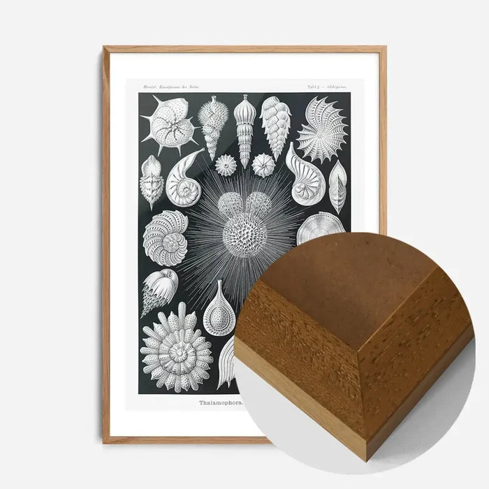 21x30cm | 8¼ x 11¾in / Oak Wood Frame
