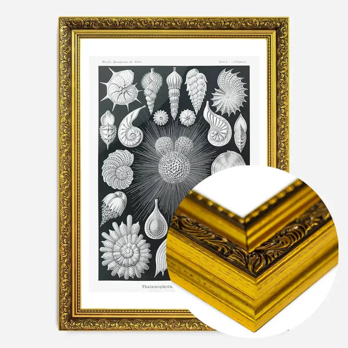 21x30cm | 8¼ x 11¾in / Gold Ornate Frame
