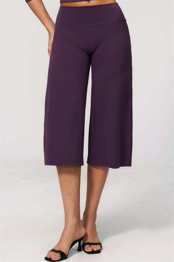 The Natalia Half-Sleeve Top Wide-Leg Crop 2-Piece Set