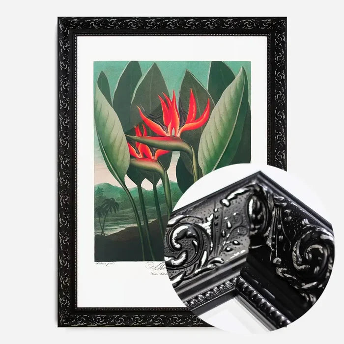 21x30cm | 8¼ x 11¾in / Black Ornate Frame