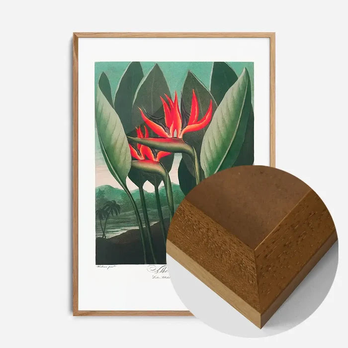 21x30cm | 8¼ x 11¾in / Oak Wood Frame