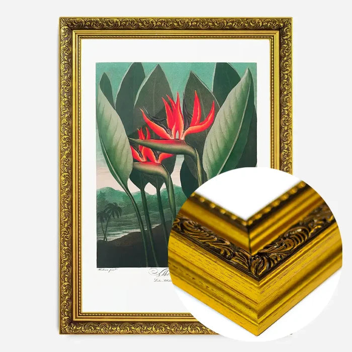 21x30cm | 8¼ x 11¾in / Gold Ornate Frame