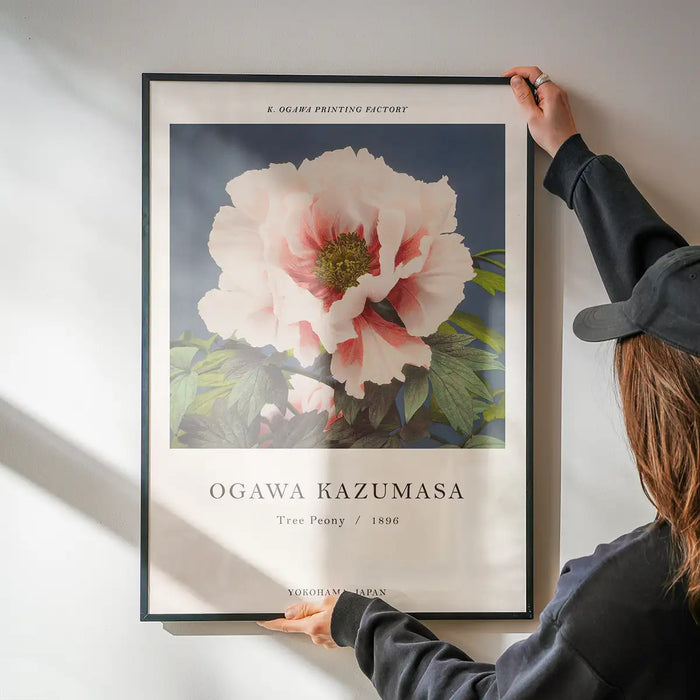 Tree Peony Ogawa Kazumasa Flowers Print being hung on a wall in a black frame