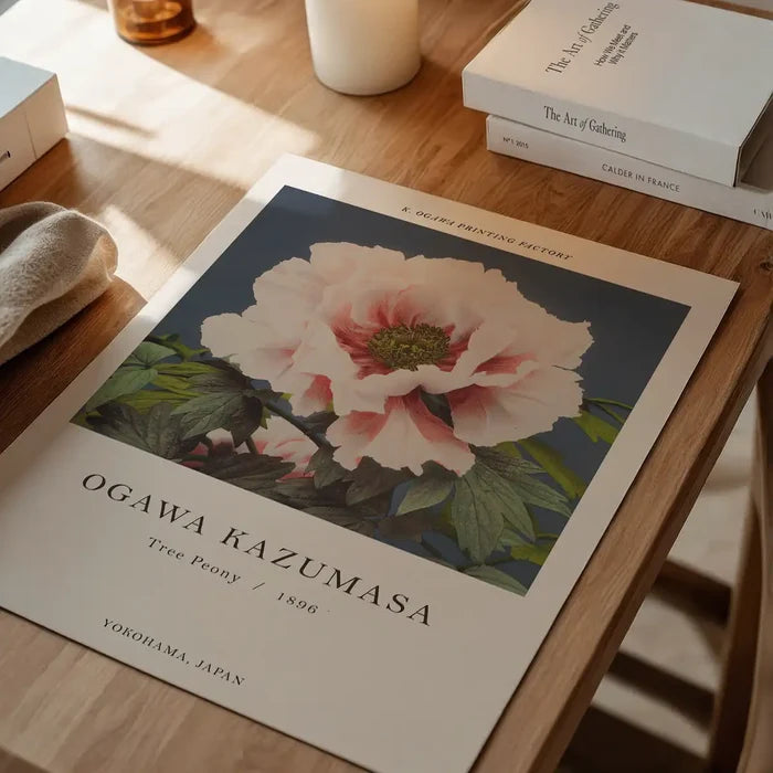 Tree Peony Ogawa Kazumasa Flowers Print, Japanese woodblock print unframed on a home office desk