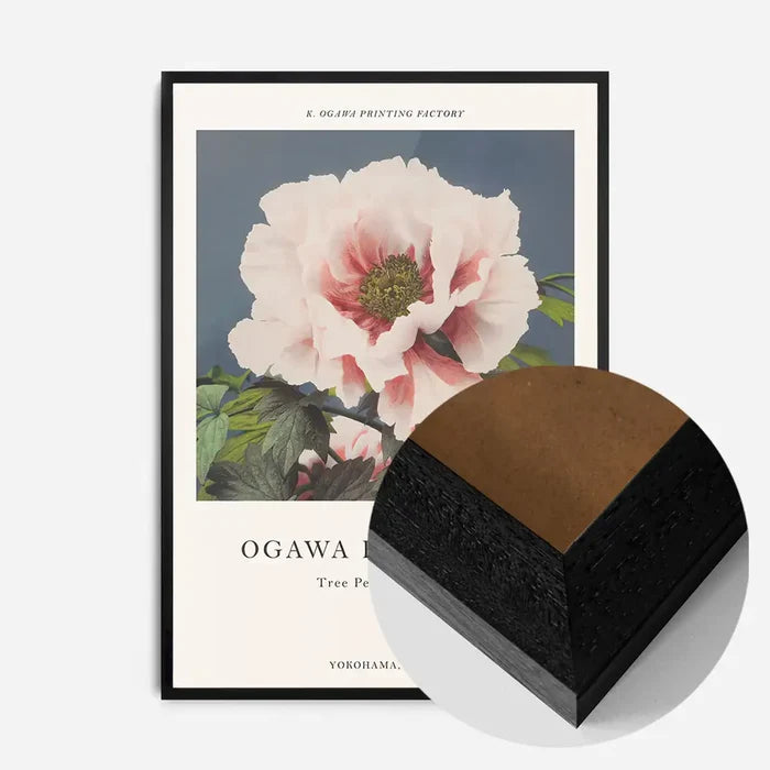 21x30cm | 8¼ x 11¾in / Black Wood Frame