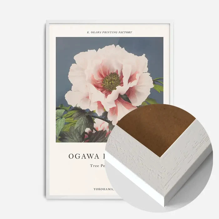 21x30cm | 8¼ x 11¾in / White Wood Frame