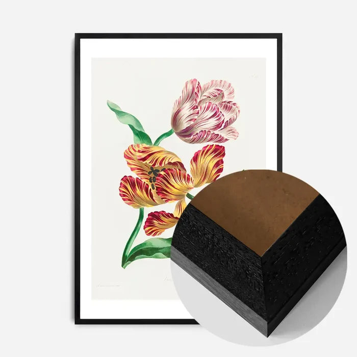 21x30cm | 8¼ x 11¾in / Black Wood Frame