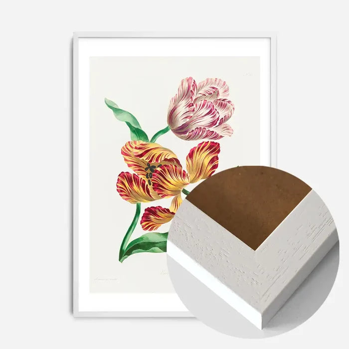 21x30cm | 8¼ x 11¾in / White Wood Frame
