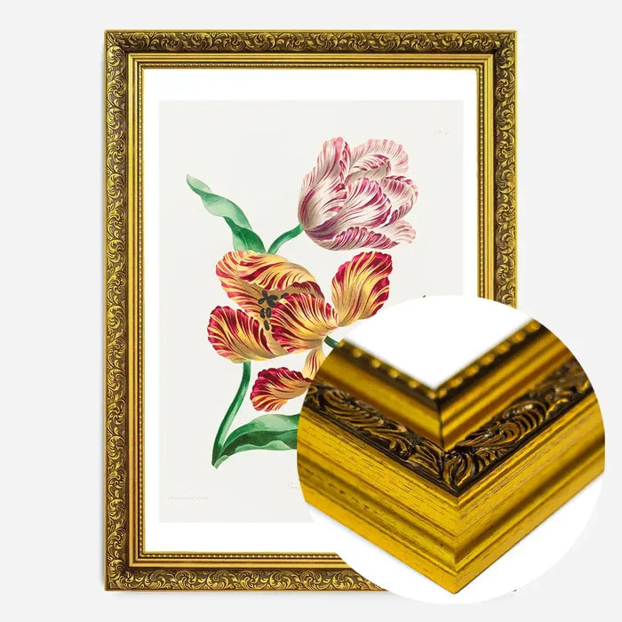 21x30cm | 8¼ x 11¾in / Gold Ornate Frame
