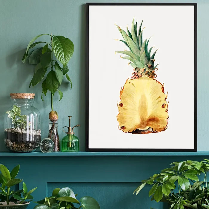 Vintage Half Pineapple Fruit Illustration Print black framed on a living room shelf