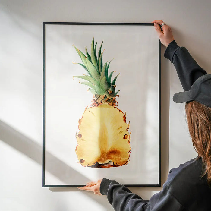 Vintage Half Pineapple Fruit Illustration Print being hung on a wall in a black frame