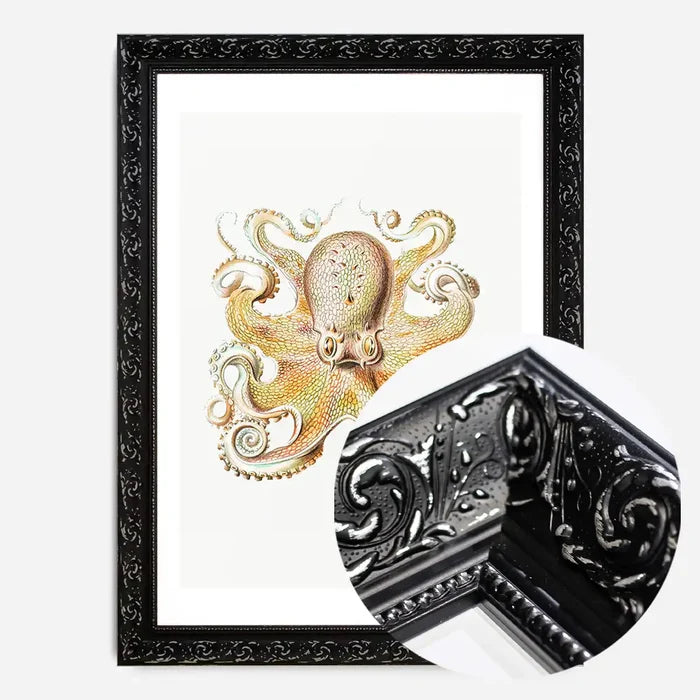 21x30cm | 8¼ x 11¾in / Black Ornate Frame