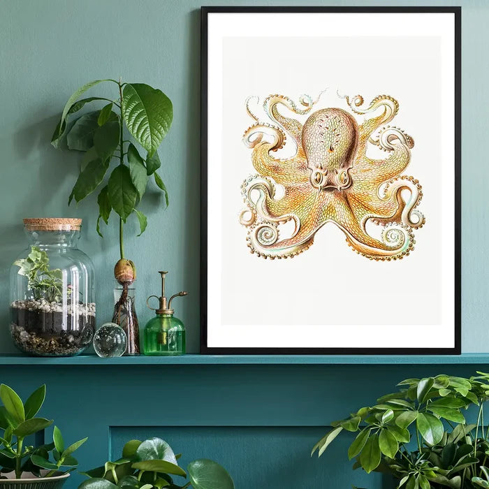 Vintage Octopus Illustration Print black framed on a living room shelf