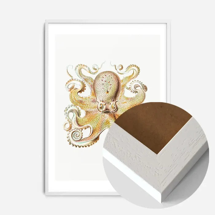 21x30cm | 8¼ x 11¾in / White Wood Frame